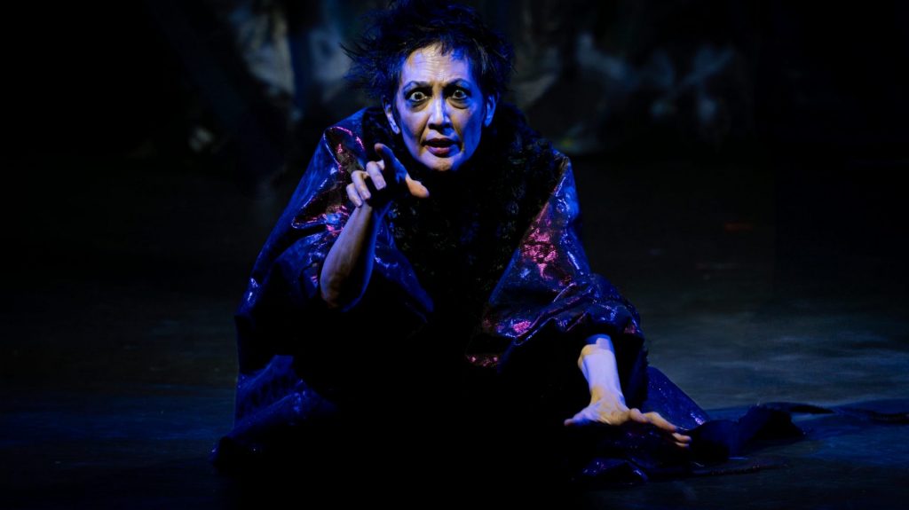 Victoria Haslam as Queen Lear - Divadlo Na Pradle - Prague 2025